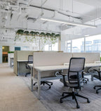 MATSU CHIC Sunrise — Sit-Stand Desk